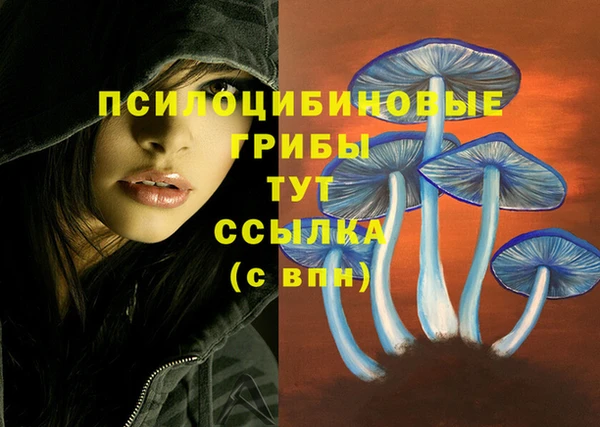мяу мяу кристалл Краснослободск