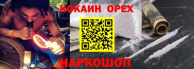 стафф Камышлов