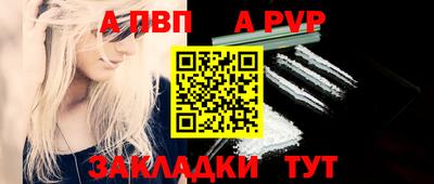 стафф Камышлов