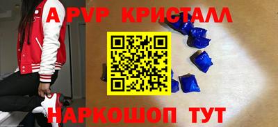 стафф Камышлов