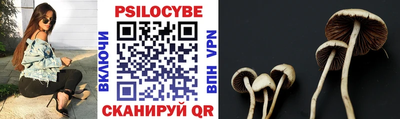 купить наркотик  гидра ССЫЛКА  Псилоцибиновые грибы Cubensis  Копейск 